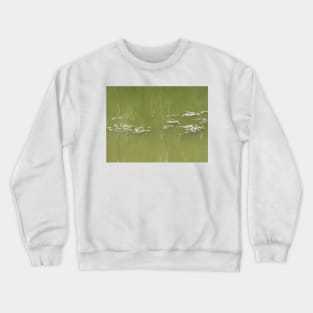 Fairy Ring in the Water #1 Crewneck Sweatshirt